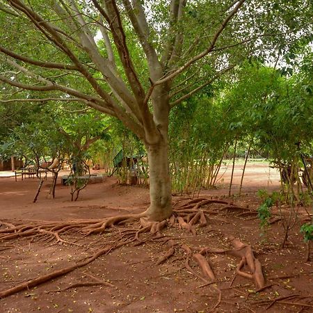 Our Native Village Gadigarpalya Exterior photo