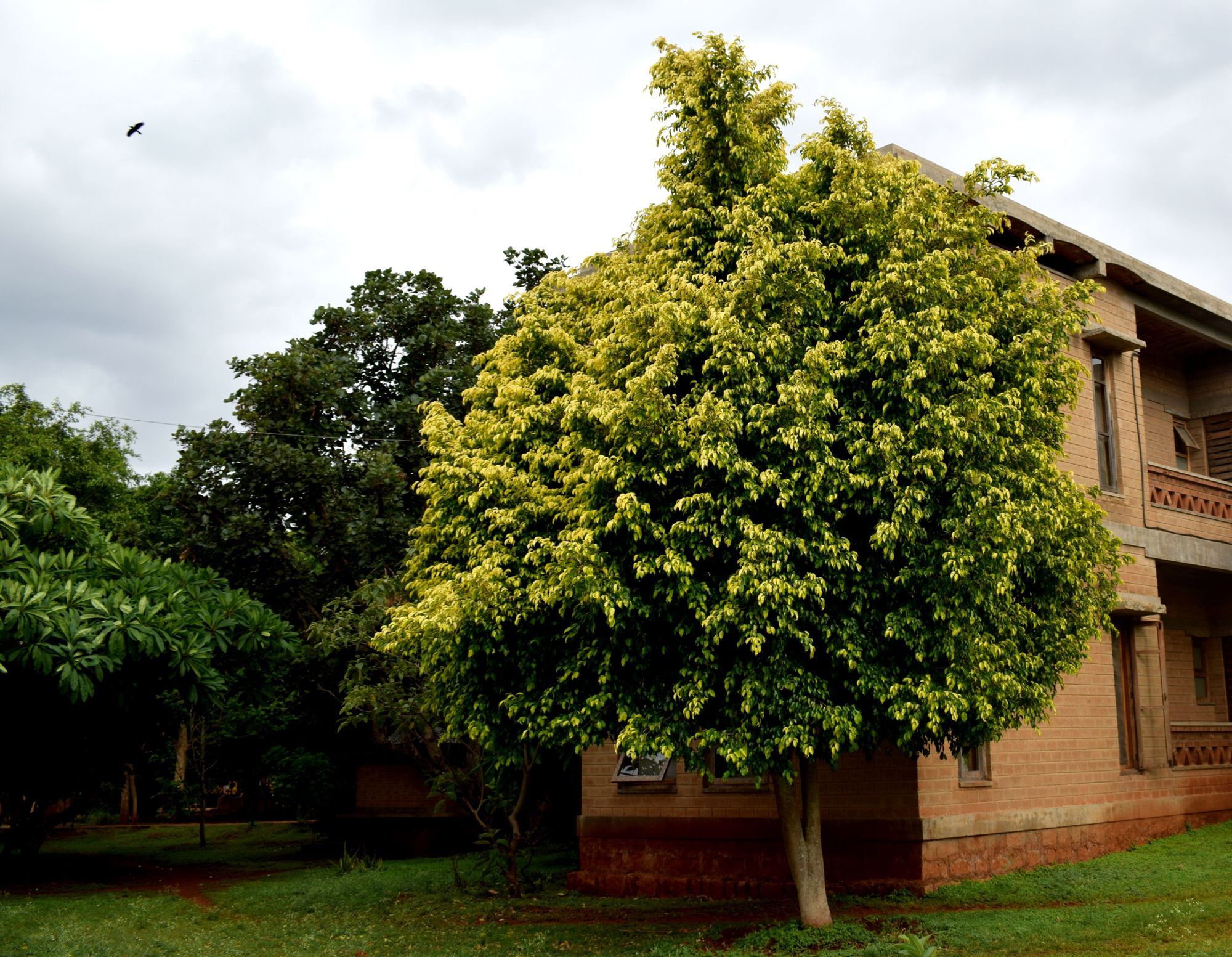 Our Native Village Gadigarpalya Exterior photo