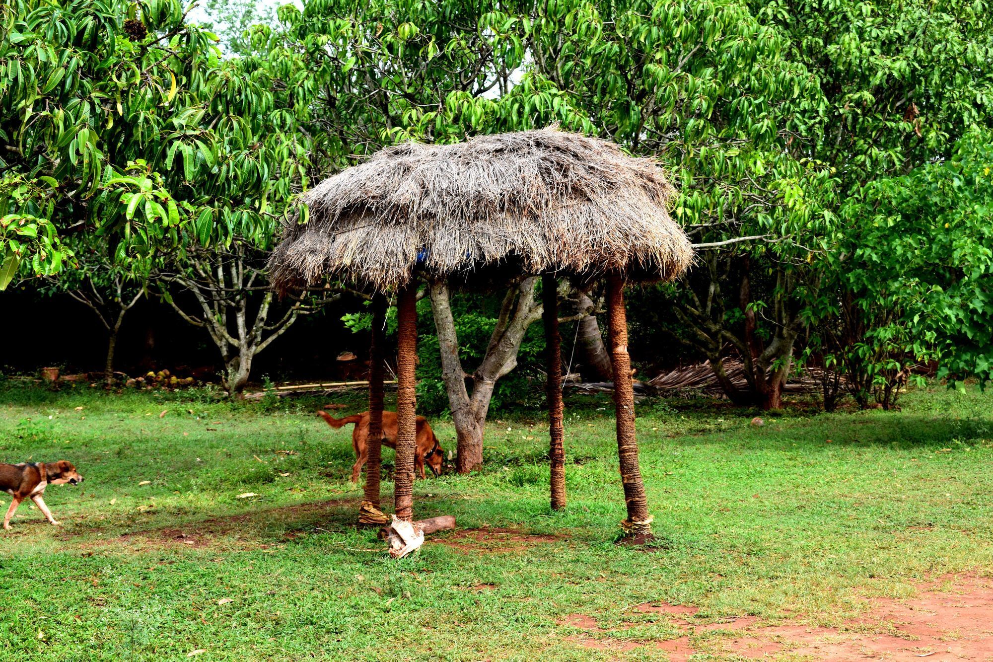Our Native Village Gadigarpalya Exterior photo